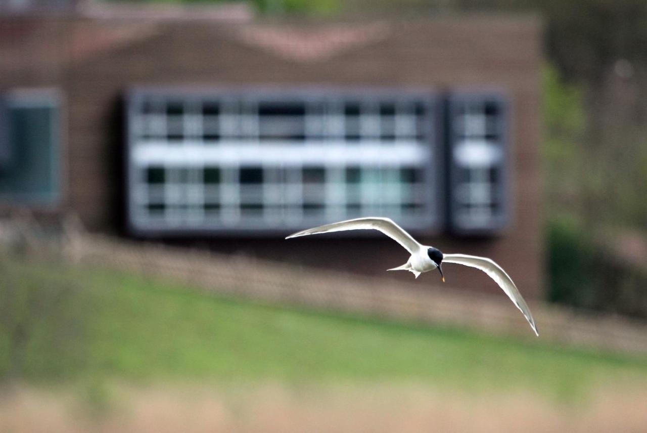 Hotel Urdaibai Bird Center Gautegiz Arteaga Exterior foto