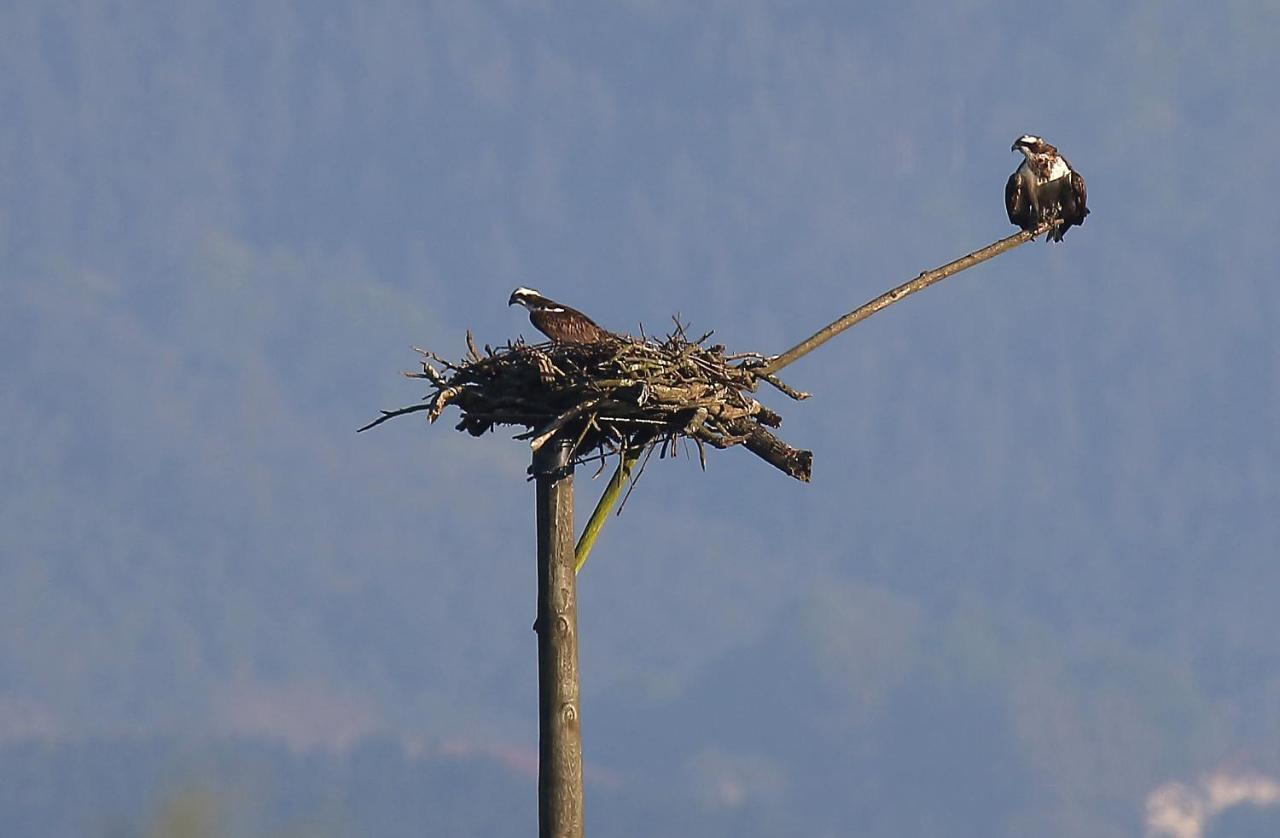 Hotel Urdaibai Bird Center Gautegiz Arteaga Exterior foto