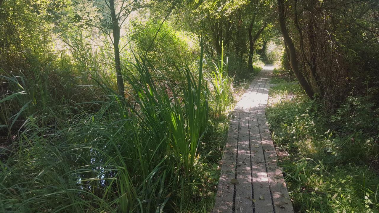 Hotel Urdaibai Bird Center Gautegiz Arteaga Exterior foto