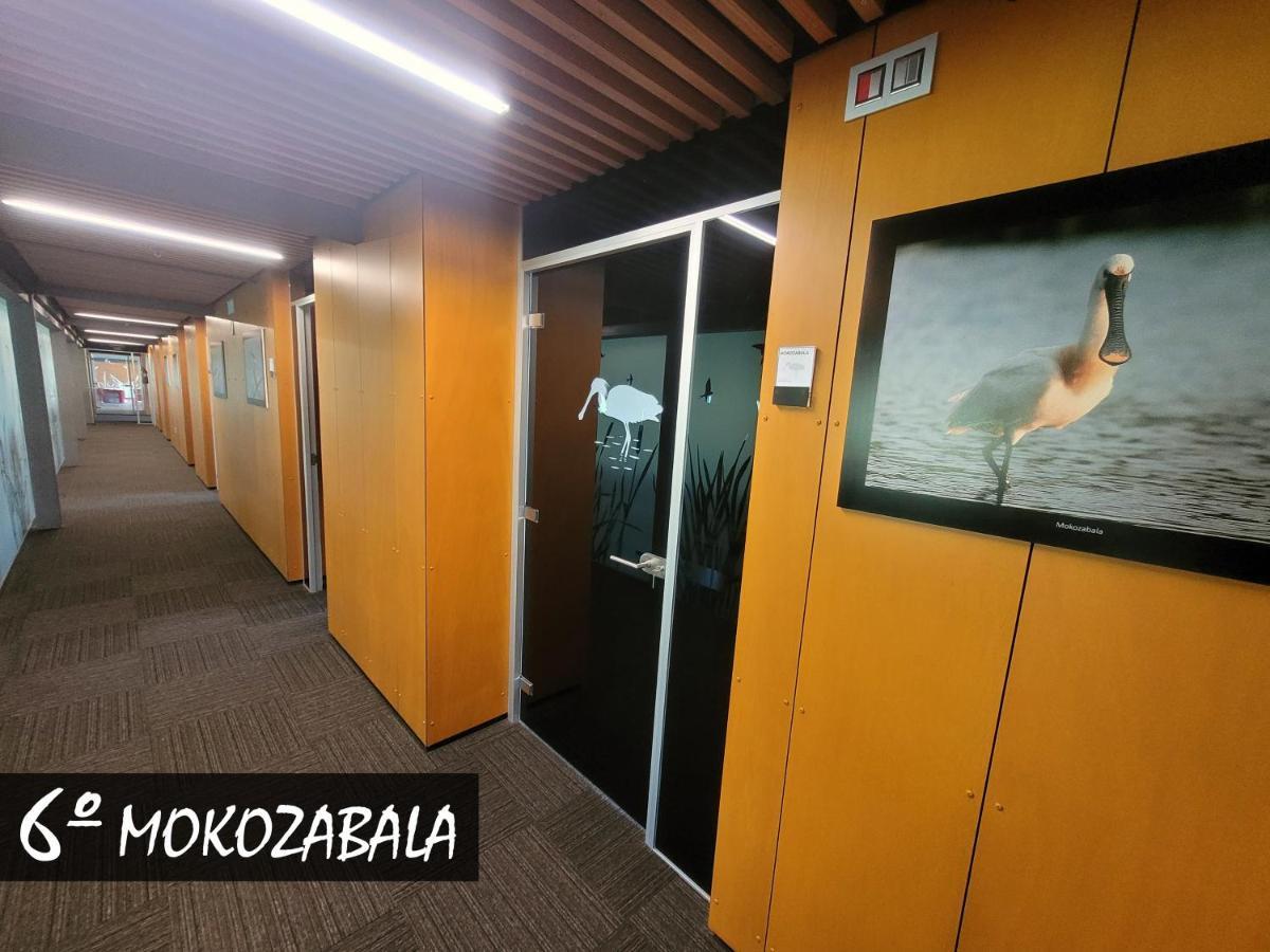 Hotel Urdaibai Bird Center Gautegiz Arteaga Zimmer foto